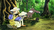 La Biodiversité