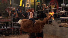 The Gorilla Club