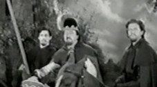 Le sanglier noir