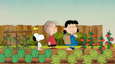 Si on plantait?