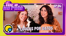 Épisode 4
