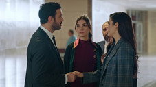 Épisode 7