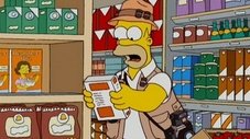 Homer, o Paparazzo