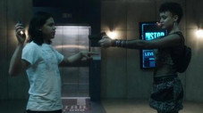 Chronicles Of Cisco (3)