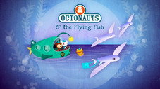 Les poissons volants