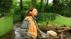Épisode 11