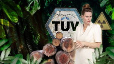 Épisode 5