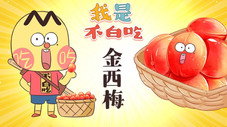 Épisode 425