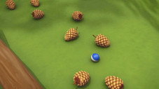 Franklin et le jeu des pommes de pin