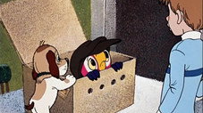Épisode 3