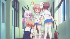 Épisode 5