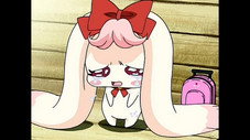 Épisode 44