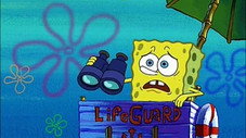 SpongeGuard on Duty