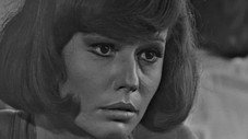 Épisode 9