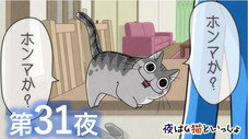 Épisode 31