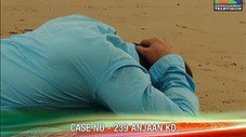 Épisode 239