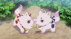 Épisode 11