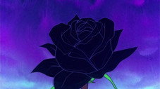 Une vie pour une fleur !!