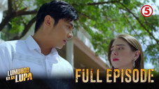 Épisode 30