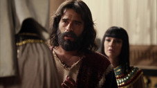 Épisode 155