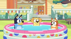 Épisode 12