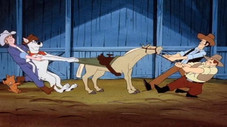 Épisode 8