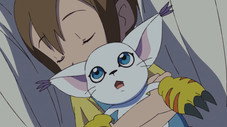 Hikari et Tailmon