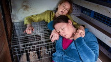 Épisode 5