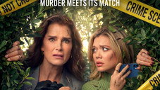 The Beginning