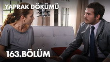 Épisode 163