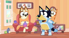 Épisode 16