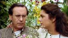 Épisode 11
