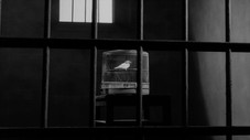 Épisode 12