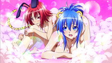 Noël~Le miracle des Animaux aux Intestins~
