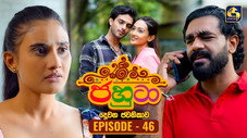 Épisode 46