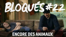 Encore des animaux