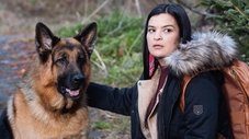 Episódio 11