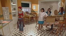 Épisode 242
