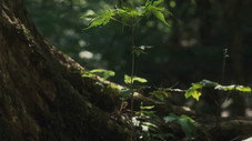 Épisode 19