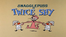 Twice Shy