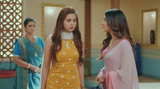 Épisode 193