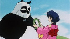La Légende du panda