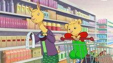 Petit lama n'aime pas faire les courses