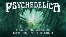 Cactus : Médecine traditionnelle de l'esprit
