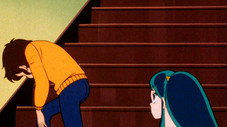 Le chat dans l'escalier