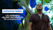Les derniers Blancs Matignon de la Guadeloupe