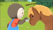 Mon ami le poney