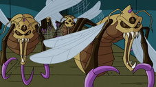 Épisode 6