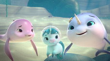 Épisode 13