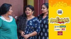Épisode 1202